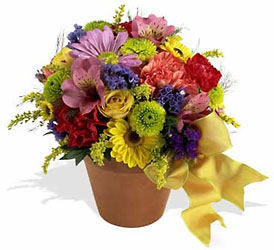 Fresh Blossom Potpourri In Waterford Michigan Jacobsen's Flowers