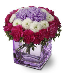 Teleflora's Ring Around the Posies In Waterford Michigan Jacobsen's Flowers