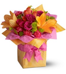 Tres Chic Present In Waterford Michigan Jacobsen's Flowers