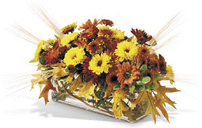 Autumn Fields In Waterford Michigan Jacobsen's Flowers