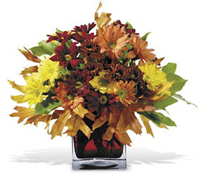 Mum Montage In Waterford Michigan Jacobsen's Flowers