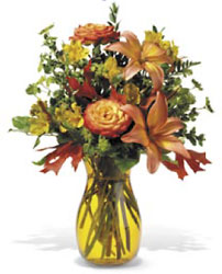 Golden Autumn In Waterford Michigan Jacobsen's Flowers