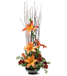 Zen Lilies In Waterford Michigan Jacobsen's Flowers