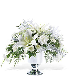 Holiday on Ice In Waterford Michigan Jacobsen's Flowers