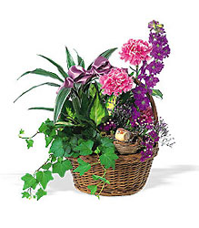 Garden Comforts In Waterford Michigan Jacobsen's Flowers