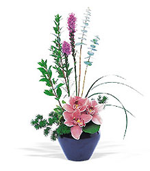 Orchid Cheer In Waterford Michigan Jacobsen's Flowers