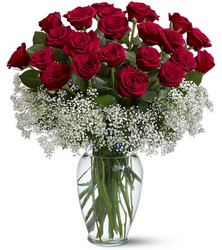 Two Dozen Red Roses In Waterford Michigan Jacobsen's Flowers