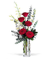 Red Roses and White Orchids In Waterford Michigan Jacobsen's Flowers