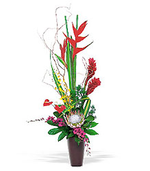 Tropical Beauty In Waterford Michigan Jacobsen's Flowers