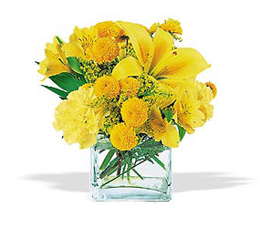 Sunshine Thoughts In Waterford Michigan Jacobsen's Flowers