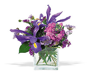 Blues for You In Waterford Michigan Jacobsen's Flowers