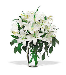 Perfect White Lilies In Waterford Michigan Jacobsen's Flowers