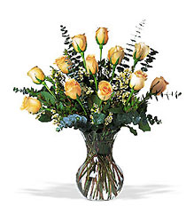 A Dozen Pale Peach Roses In Waterford Michigan Jacobsen's Flowers