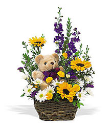 New Baby Basket & Bear In Waterford Michigan Jacobsen's Flowers