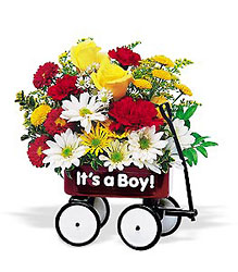 Teleflora's Baby's First Wagon In Waterford Michigan Jacobsen's Flowers