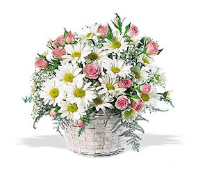 New Baby Girl Basket In Waterford Michigan Jacobsen's Flowers