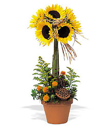 Sunflower Topiary In Waterford Michigan Jacobsen's Flowers