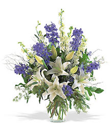 Hanukkah Arrangement In Waterford Michigan Jacobsen's Flowers