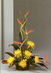 Tropical Flower Arrangment In Waterford Michigan Jacobsen's Flowers