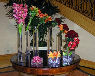 Sassy and Bold Centerpieces In Waterford Michigan Jacobsen's Flowers